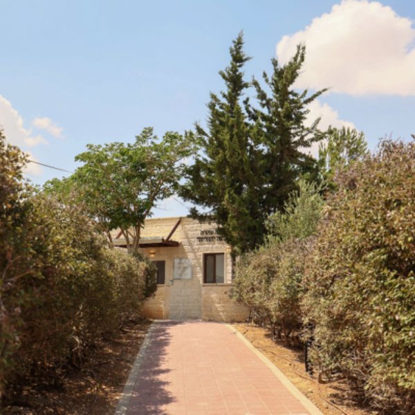 gallery picture